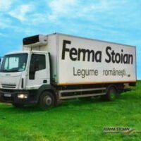 Profile photo of Ferma Stoian